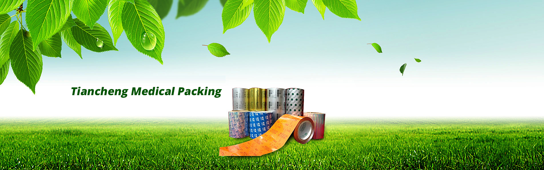 Zhejiang Tiancheng Pharmaceutical Packaging Co., Ltd Zhejiang Tiancheng Pharmaceutical Packaging Co., Ltd